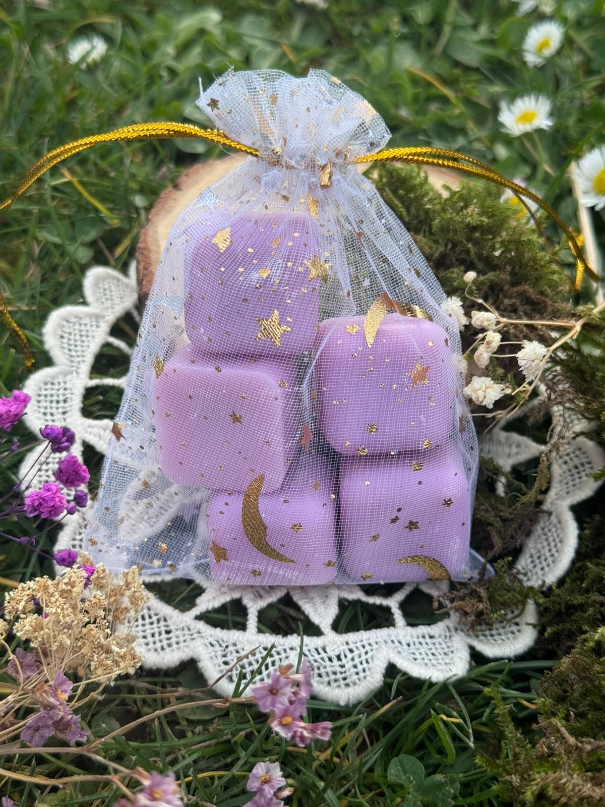 Violette Enchantée